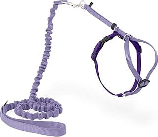 PetSafe Come with Me Kitty Harness and Bungee Leash Adjustable, Lightweight Harness for Cats Medium, Lilac