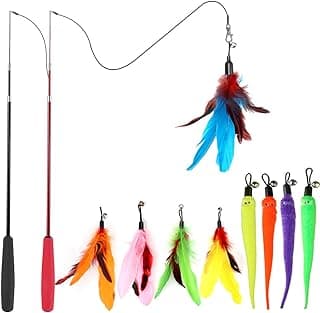 MeoHui Cat Toys for Indoor Cats, Interactive Cat Toy 2PCS Retractable Wand Toy and 9PCS Cat Feather Toys Refills, Funny Kitten Toys Cat Fishing Pole Toy for Bored Indoor Cats Chase and Exercise