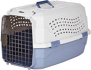 Amazon Basics Sturdy Portable 2-Door Top-Load Hard-Sided Pet Travel Carrier with Secure Ventilation, Handle, Front & Top Entry for Dogs, Cats, 22.8"L x 15"W x 13"H, Gray & Blue