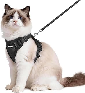 rabbitgoo Escape Proof Cat Harness and Leash Set, M, Black | 4 Adjustable Points, Quick-snap Buckles, All-weather Mesh, Secure Clip, Reflective Strips, for Medium to Large Cats Outings