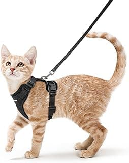 rabbitgoo Escape Proof Cat Harness and Leash Set, S, Black | 4 Adjustable Points, Quick-snap Buckles, All-weather Mesh, Secure Clip, Reflective Strips, for Average Adult Cats Outings