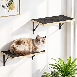 2PCS Cat Wall Shelves with 17 x 9.85 Inch Soft Felt Cushion, Solid Wood Cat Wall Furniture with Solid Wood, Wall Mounted Cats Shelves for Sleeping and Climbing, Cats Climb Perch Wall