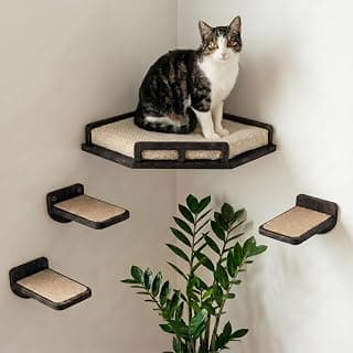 INICIO Cat Wall Shelves - Safe and Sturdy Cat Wall Furniture - Stylish Natural Wood Corner Shelf with 3 Steps for Cats up to 15lbs - Cushioned Perch and Stairs for Climbing and Playing - Black