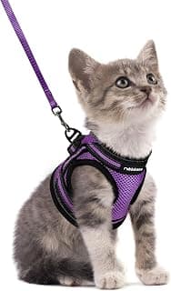 rabbitgoo Step-in Adjustable Cat Harness and Leash Set, S, Purple | Escape Proof, Ultra-light & Breathable, Easy to Fit, Secure Dual Fastening, Reflective Strips, for Kittens/Tiny Cats Outings