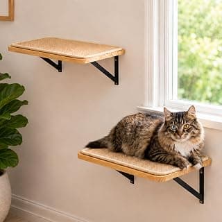 2PCS Cat Wall Shelves with Scratching Mat, 16.6x9.7 Inch Solid Pine Wood Wall Mounted Kitten Floating Shelf, Window Perch Hammock, Cats Wall Furniture for Cats Sleeping, Playing, Climbing