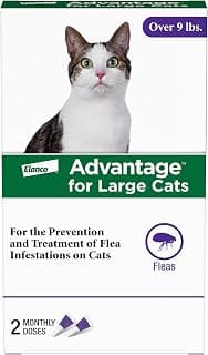 Advantage Topical Cat Flea Treatment and Prevention for Large Cats Over 9 lbs. | Apply Flea Drops Monthly | 2 Treatments
