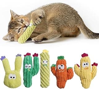 Pawsible Cat Toys for Indoor Cats, 100% Pure Organic Catnip-Filled Toys Without Cotton, Interactive Cactus Kitten Toy for Anxiety Relief, Soft Cute Teething &Chew Toys, 5 Pack