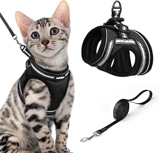 rabbitgoo Step-in Adjustable Cat Harness and Leash Set, XL, Black | Escape Proof, Ultra-light & Breathable, Easy to Fit, Secure Dual Fastening, Reflective Strips, for Average Adult Cats Outings