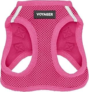 Best Pet Supplies Voyager Step-in Air Harness - All Weather Mesh, Reflective, No Pull Harness for Dogs, Cats - Secure with Hook & Loop Fastener, Buckle, Double D-Rings - Fuchsia, M